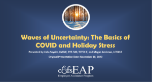 Waves of Uncertainty: the basics of COVID and holiday stress